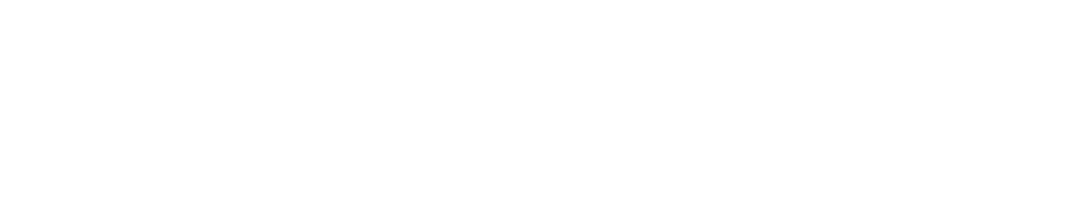 Neuroline White Logo